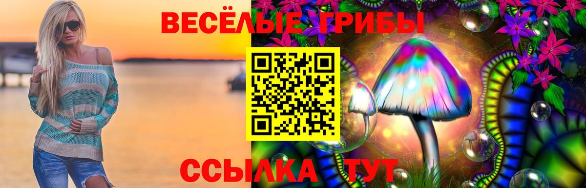 Галлюциногенные грибы Cubensis  Вход с VPN  Лениногорск 