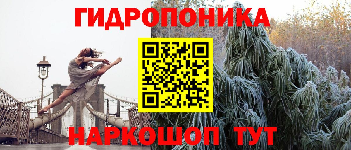Канабис Bruce Banner  Шишки марихуана индика  Конопля семена  Вход с VPN  Лениногорск 